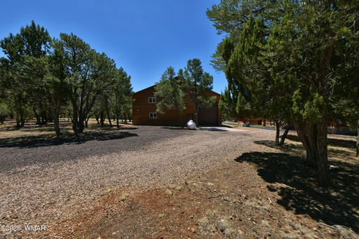 Media Image 2