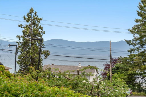 Media Image 2