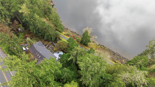 Media Image 2