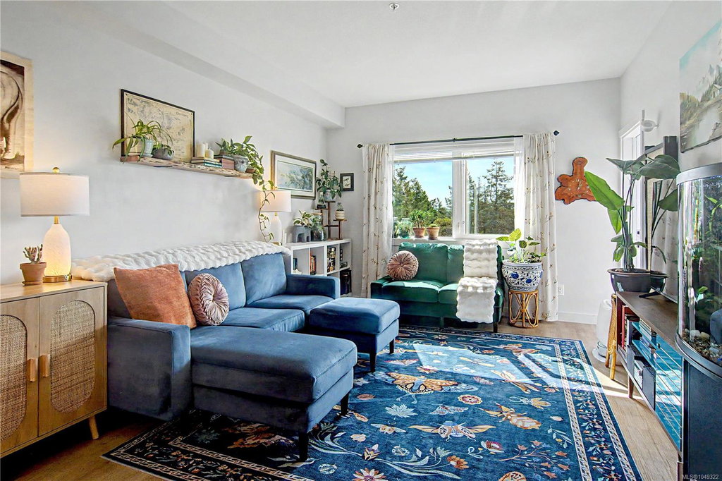 Media Image 1