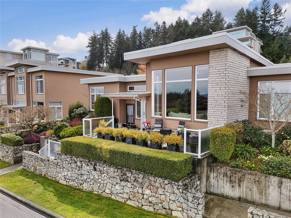 Media Image 1