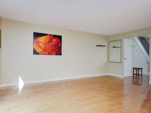 Media Image 3