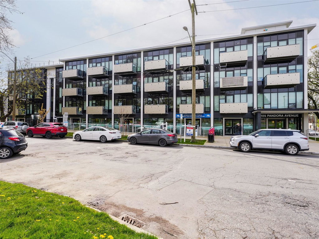 Media Image 1