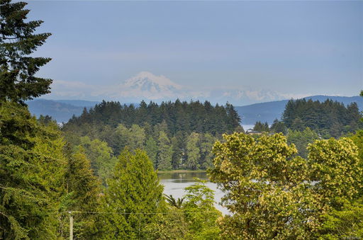 Media Image 3