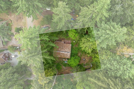 Media Image 2