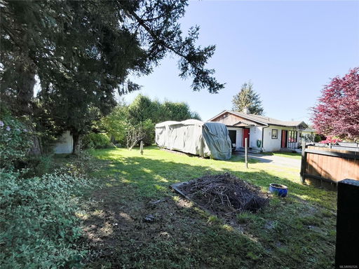 Media Image 3