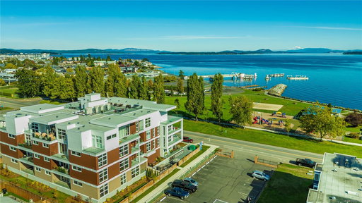 Media Image 2