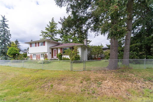 Media Image 2