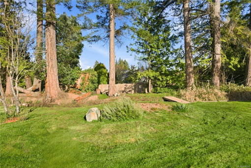 Media Image 2