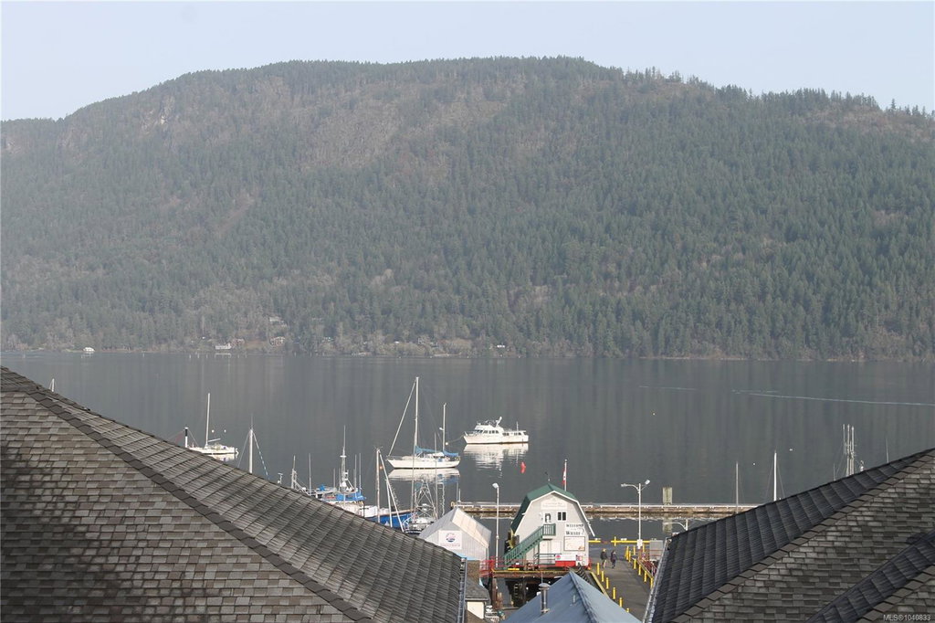 Media Image 1