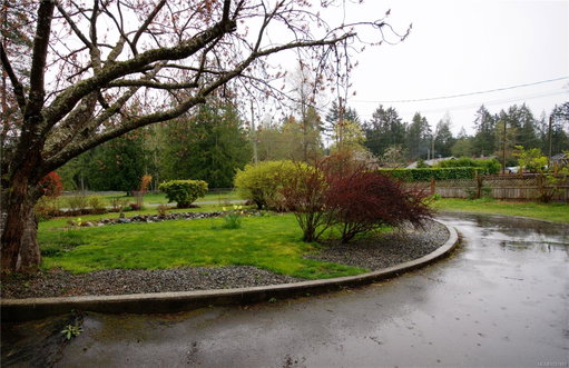 Media Image 3
