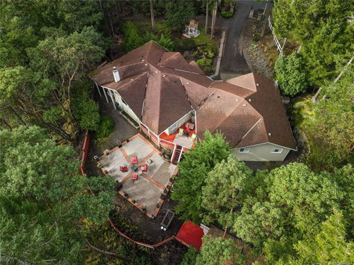 Media Image 3