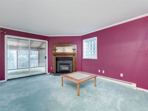 Media Image 3