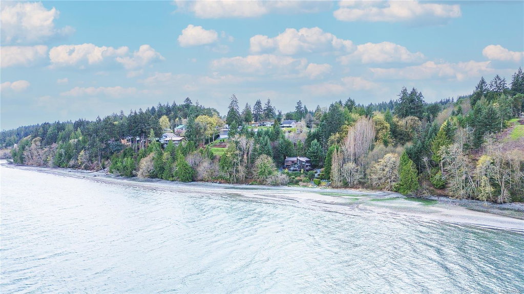 Media Image 1