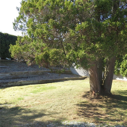 Media Image 3