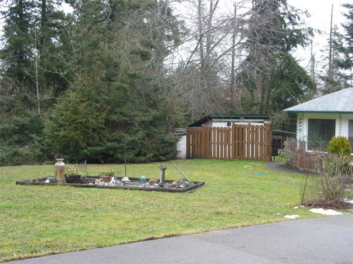 Media Image 3