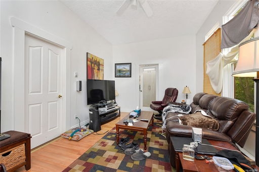 Media Image 3