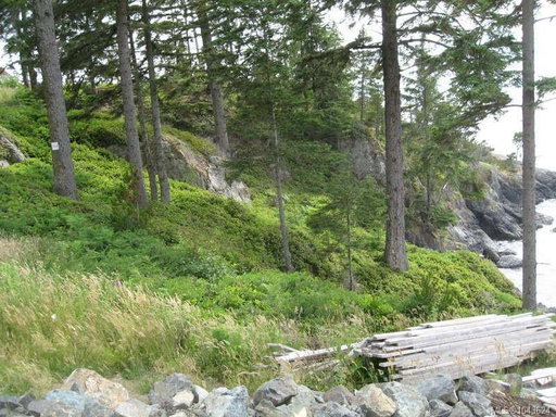 Media Image 2