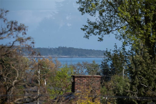 Media Image 2