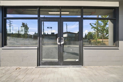 Media Image 3