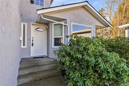 Media Image 3