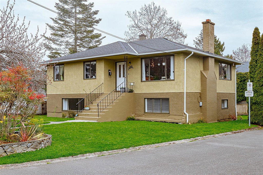 Media Image 1