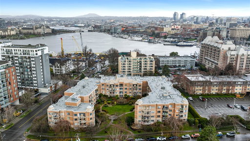 Media Image 3