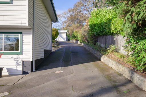 Media Image 3