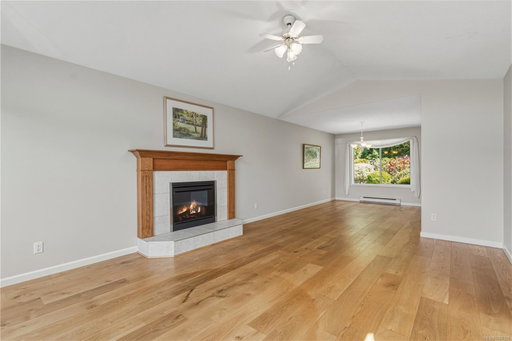 Media Image 3