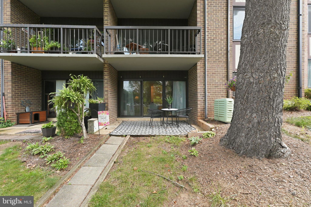 Media Image 1