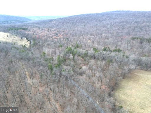 Media Image 2