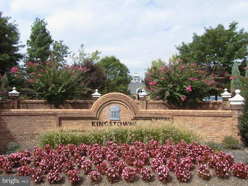 Media Image 2