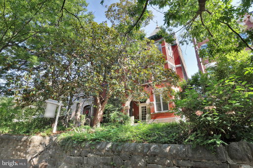 Media Image 2