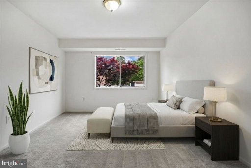 Media Image 3