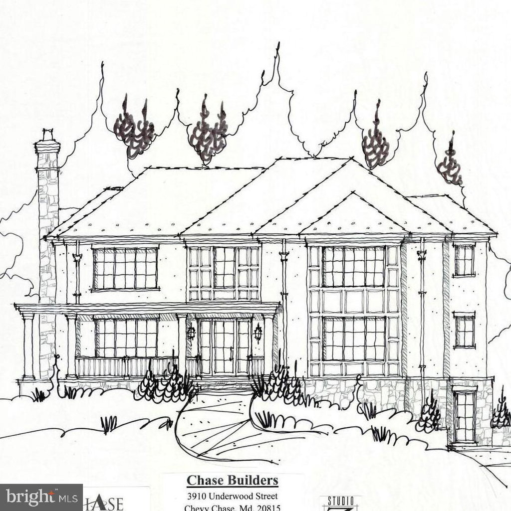 Media Image 1