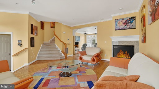 Media Image 3