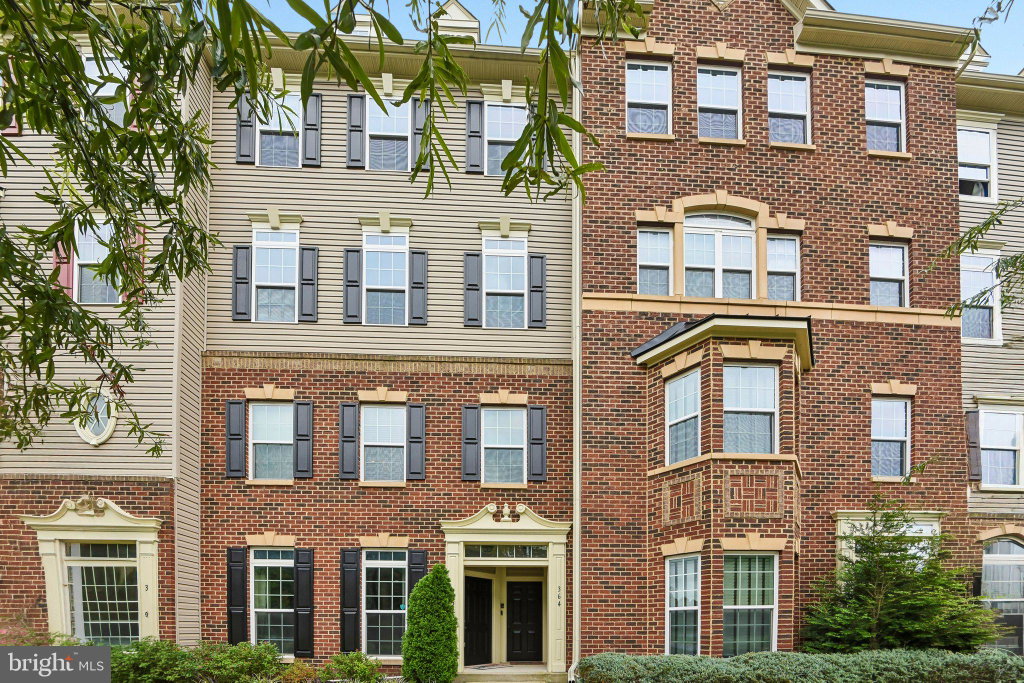 Media Image 1