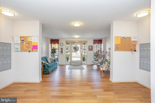 Media Image 3