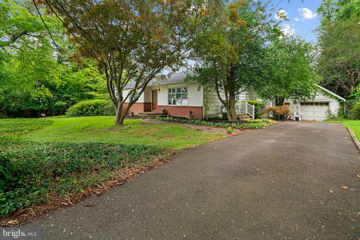 Media Image 3