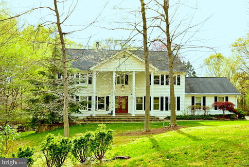 Media Image 2