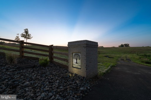 Media Image 3