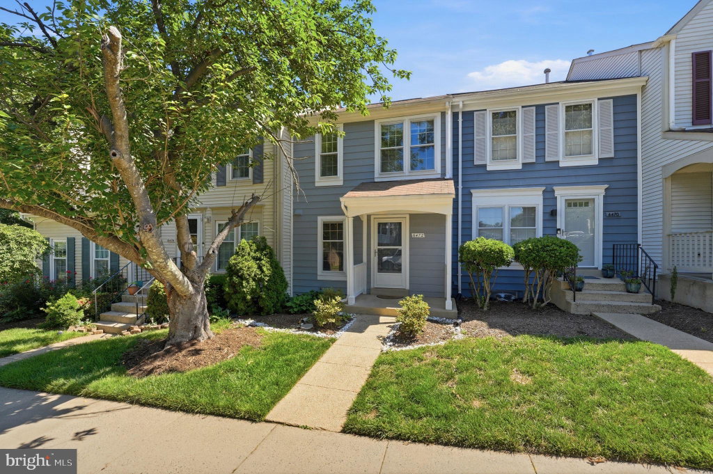 Media Image 1