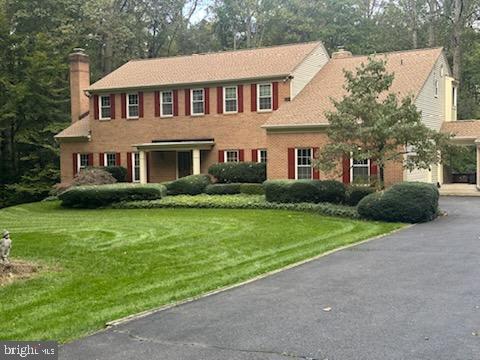 Media Image 1