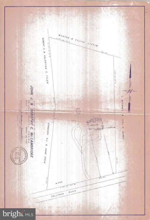 Media Image 3