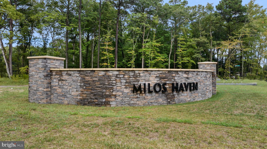 Media Image 1
