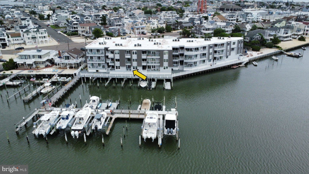 Media Image 1