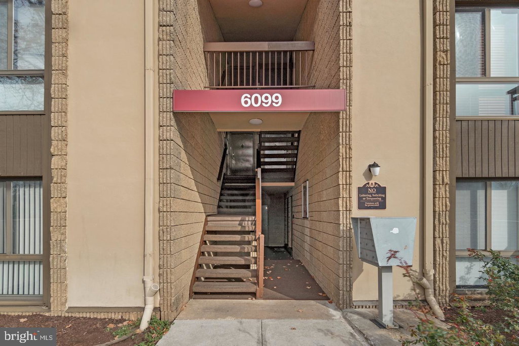 Media Image 1