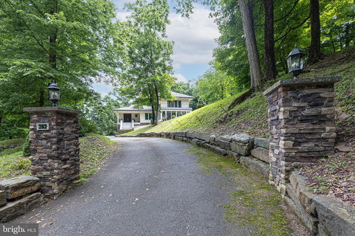 Media Image 3