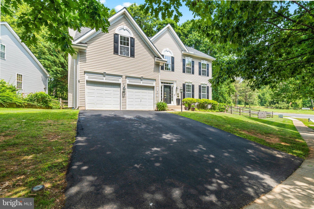 Media Image 1