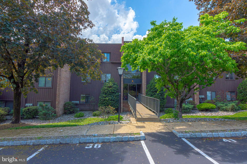 Media Image 1